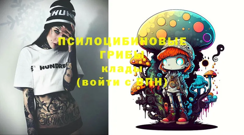 купить   Нальчик  Галлюциногенные грибы Magic Shrooms 